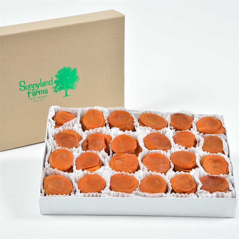 Apricots Sun Dried 207 Thumbnail