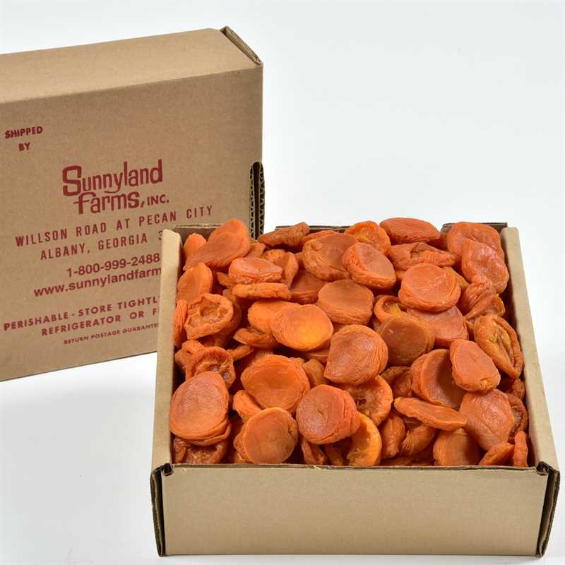 Apricots Sun Dried 208 Thumbnail