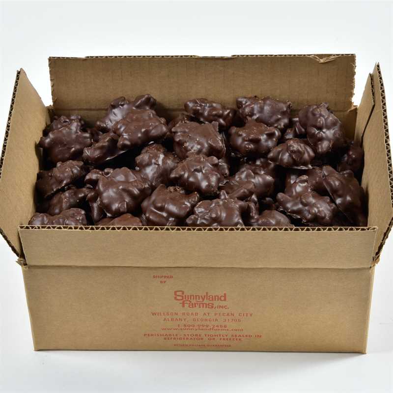 Dark Chocolate Pecan Caramel Clusters 382 Thumbnail 