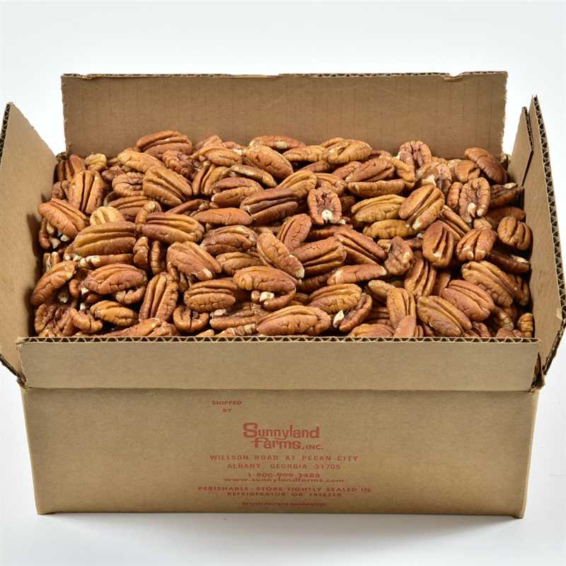 Mammoth Pecan Halves Raw 32 Thumbnail