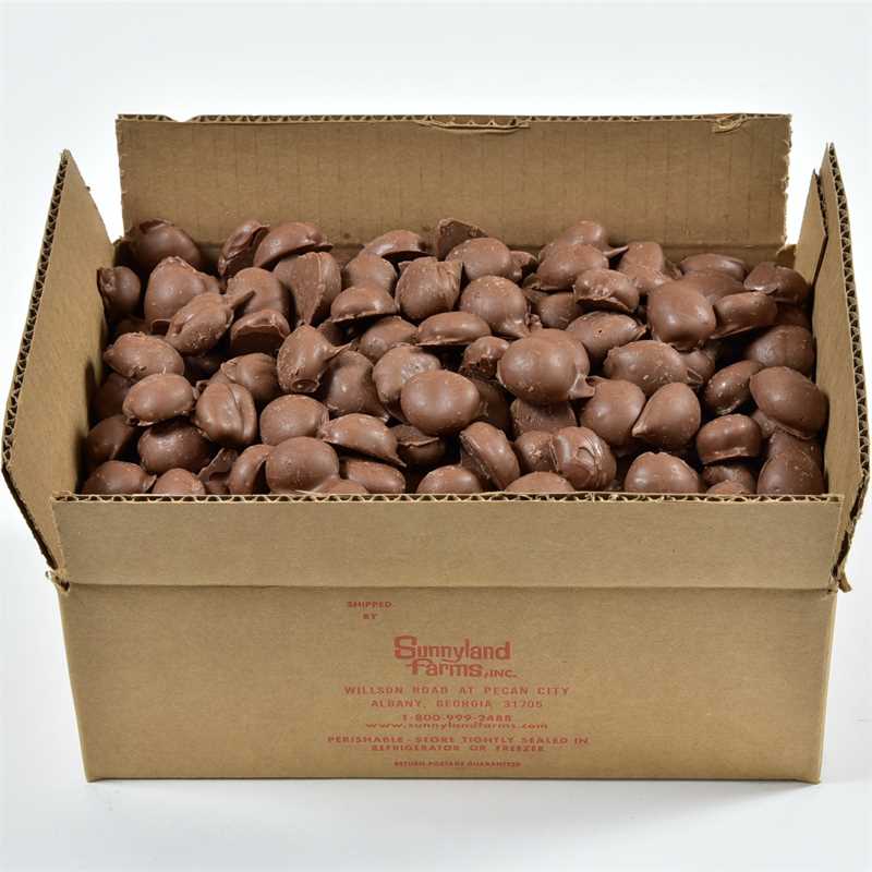 Milk Chocolate Choco Pecans 91 Thumbnail