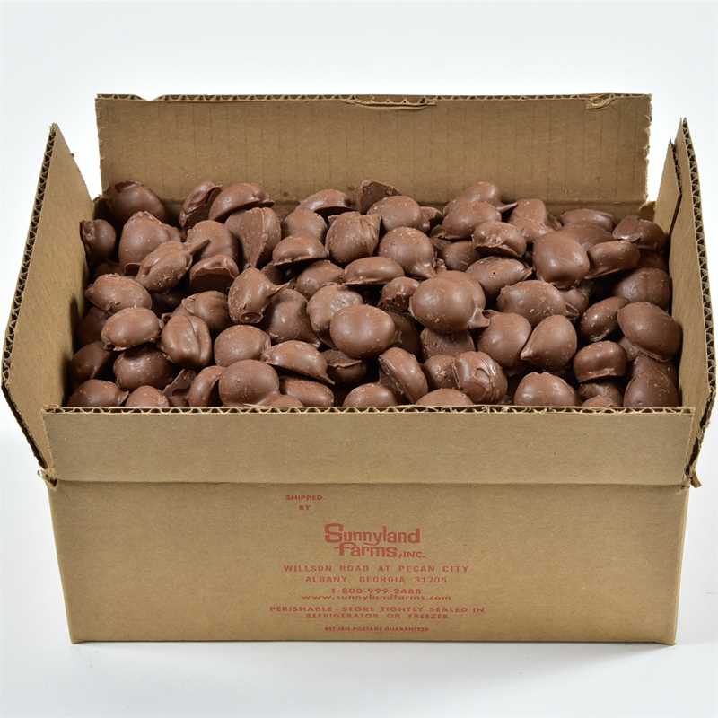 Milk Chocolate Choco Pecans 91 Thumbnail 