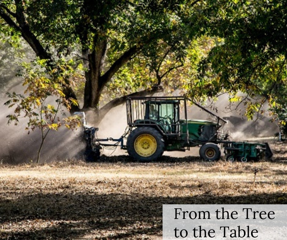 From tree to table