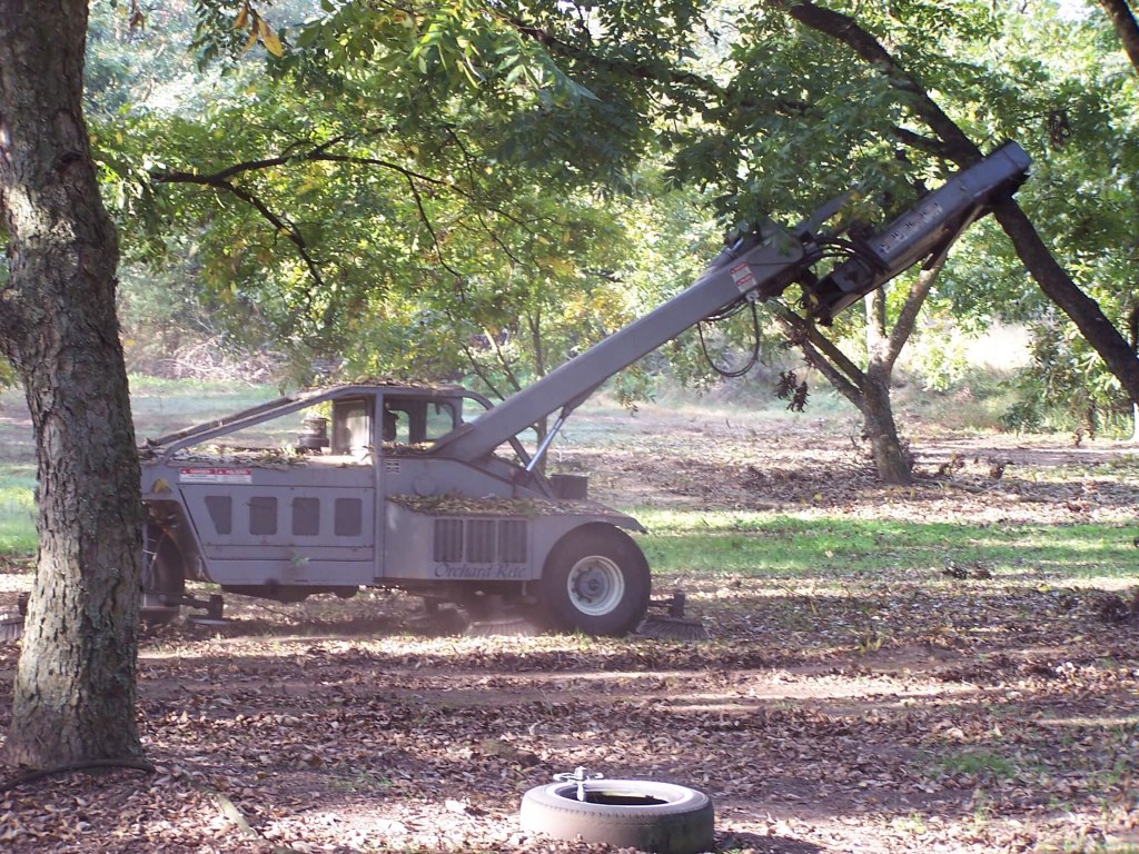 pecan tree shaker 2