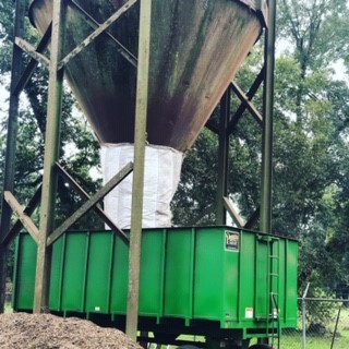 pecan harvesting