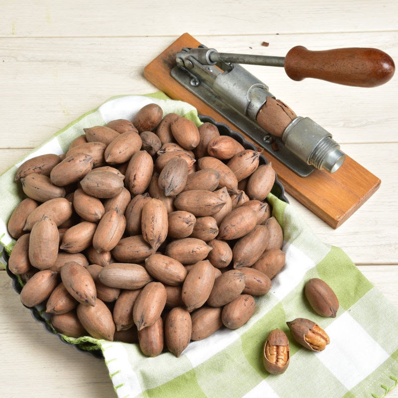 InShell Pecans (Whole Pecans), Free Shipping Sunnyland Farms