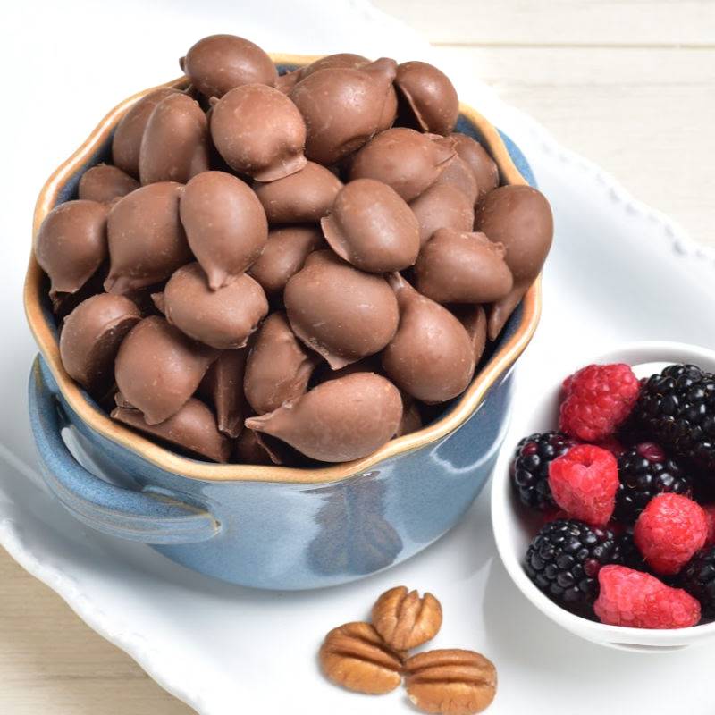 Chocolate Covered Pecans