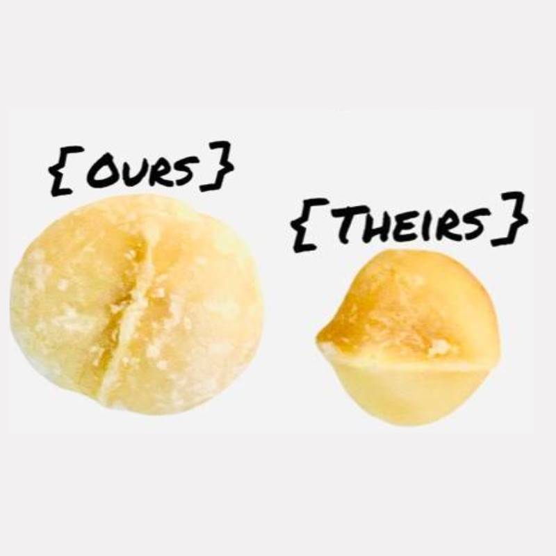 quality macadamias vs low quality macadamias 