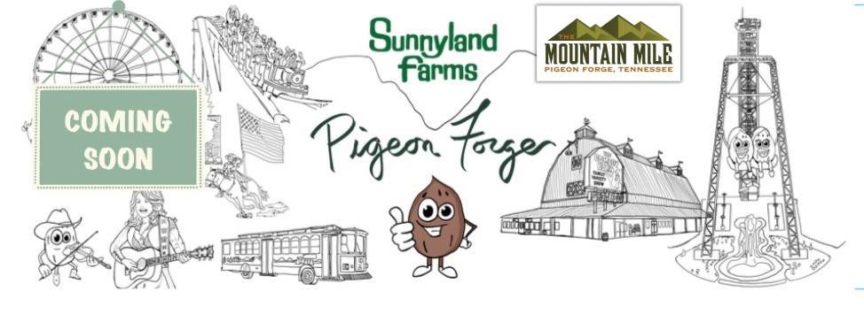 sunnyland-of-pigeon-forge-mountain-mile.jpg