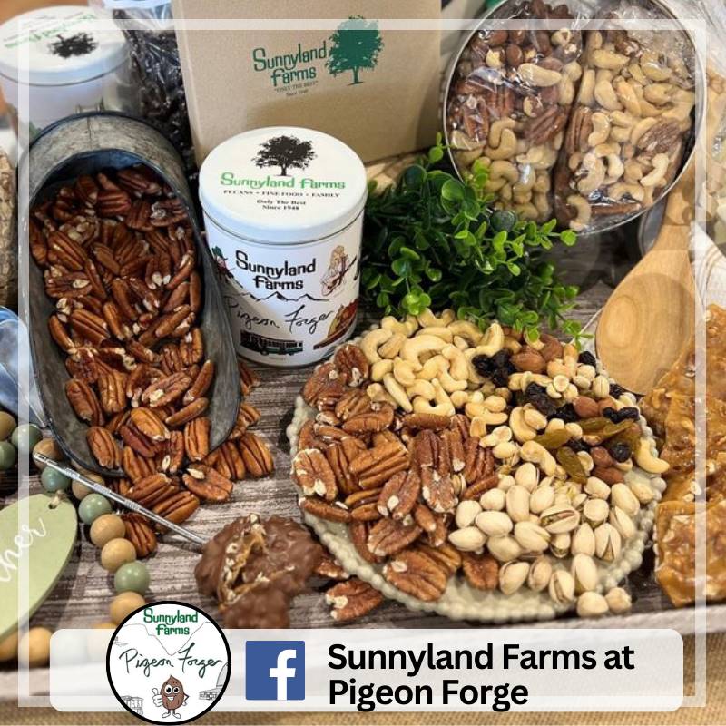 Sunnyland Farms at Pigeon Forge Facebook page link