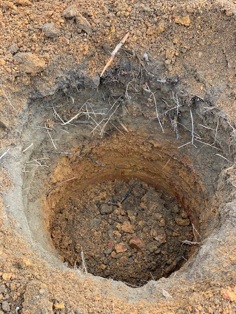 Hole for Pecan Tree